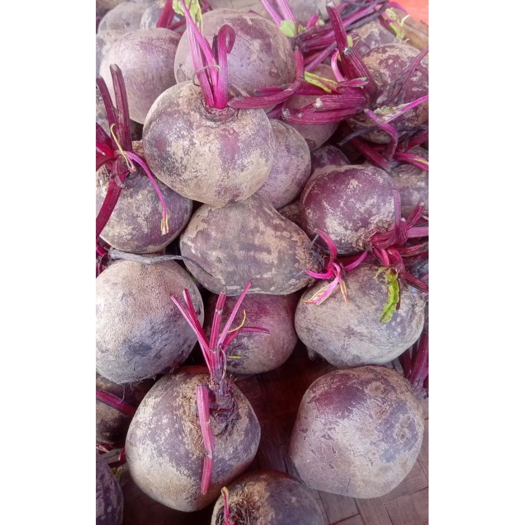 

BUAH BIT SEGAR 1KG SPEK PASAR