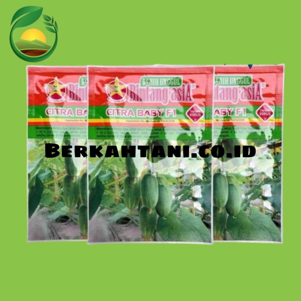 Citra Baby 20gr Benih Timun Bintang Asia Baby Mentimun 007 F1
