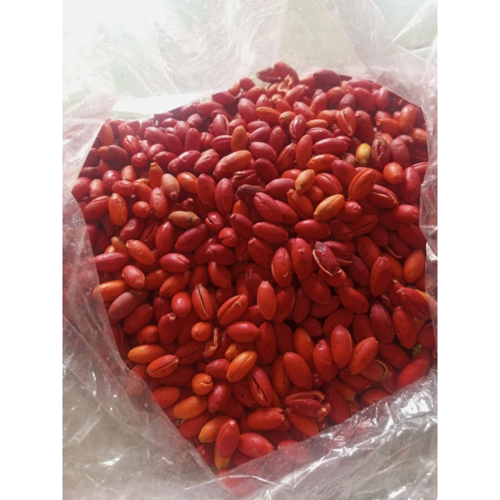 

KULIT MELINJO SUPER EMPUK 1 kG