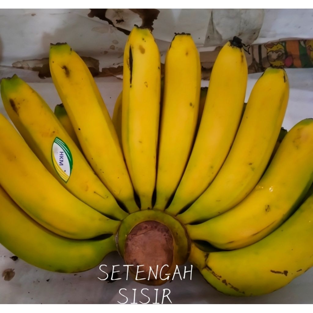 

Pisang Ambon Termurah