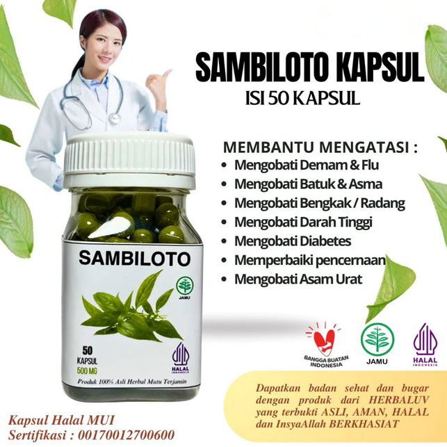 Kapsul Sambiloto Original Herbal