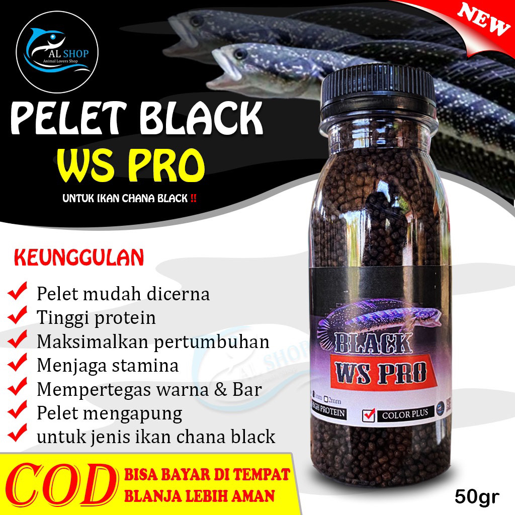 Pelet black ws pro pakan ikan Channa asiatica ws pelet Chana Asiatica ws