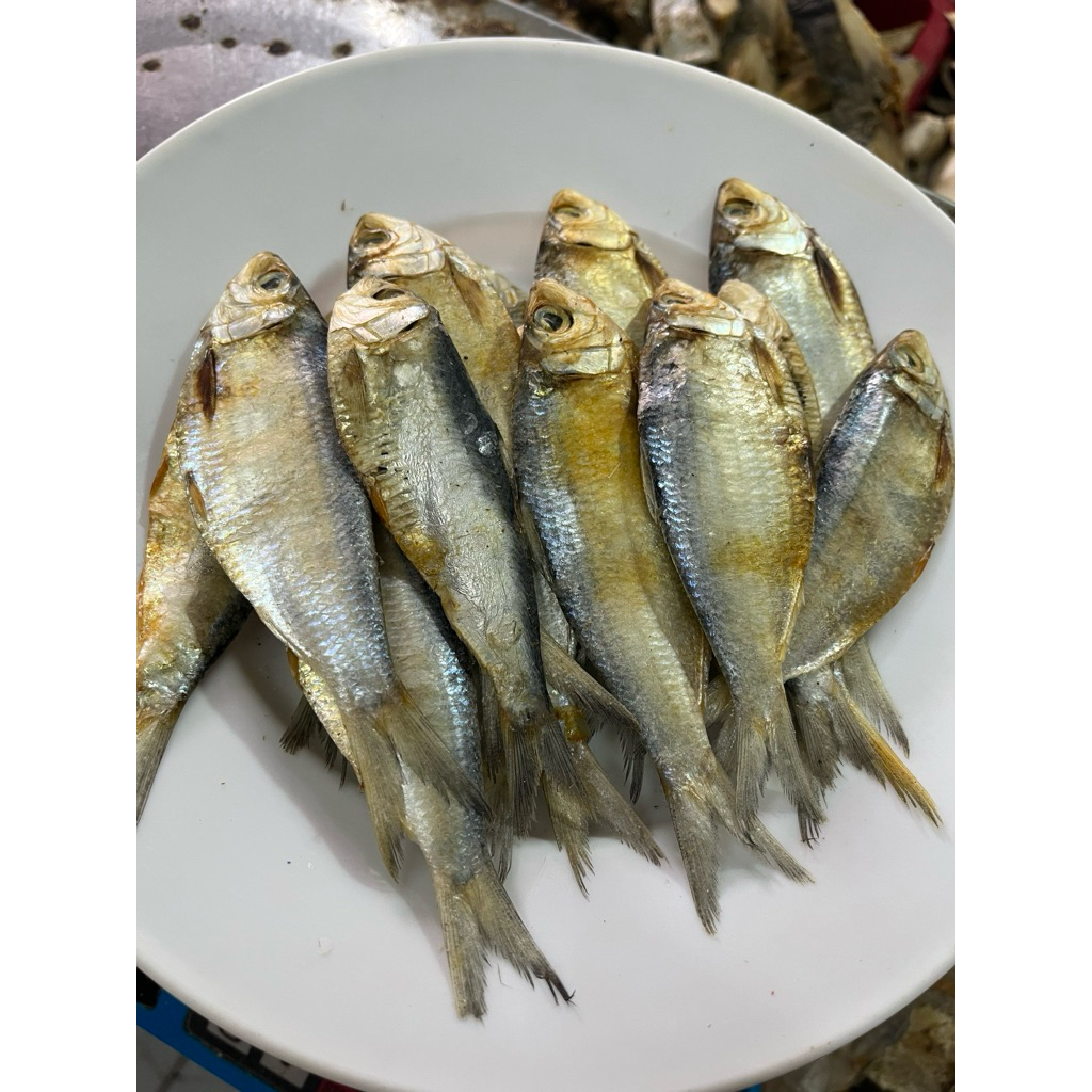 

PROMO Ikan asin tembang murah super 1 kg