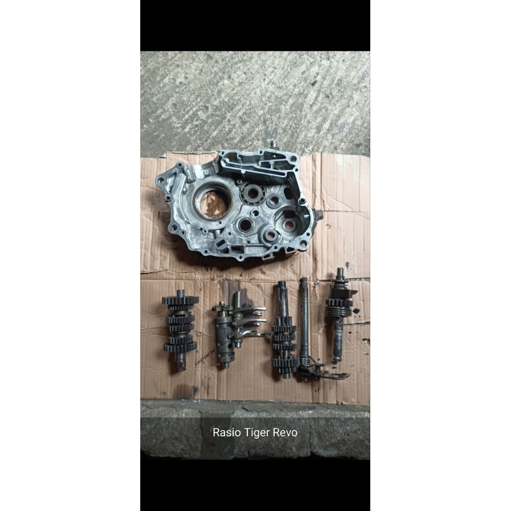 krengkes kiri tiger revi