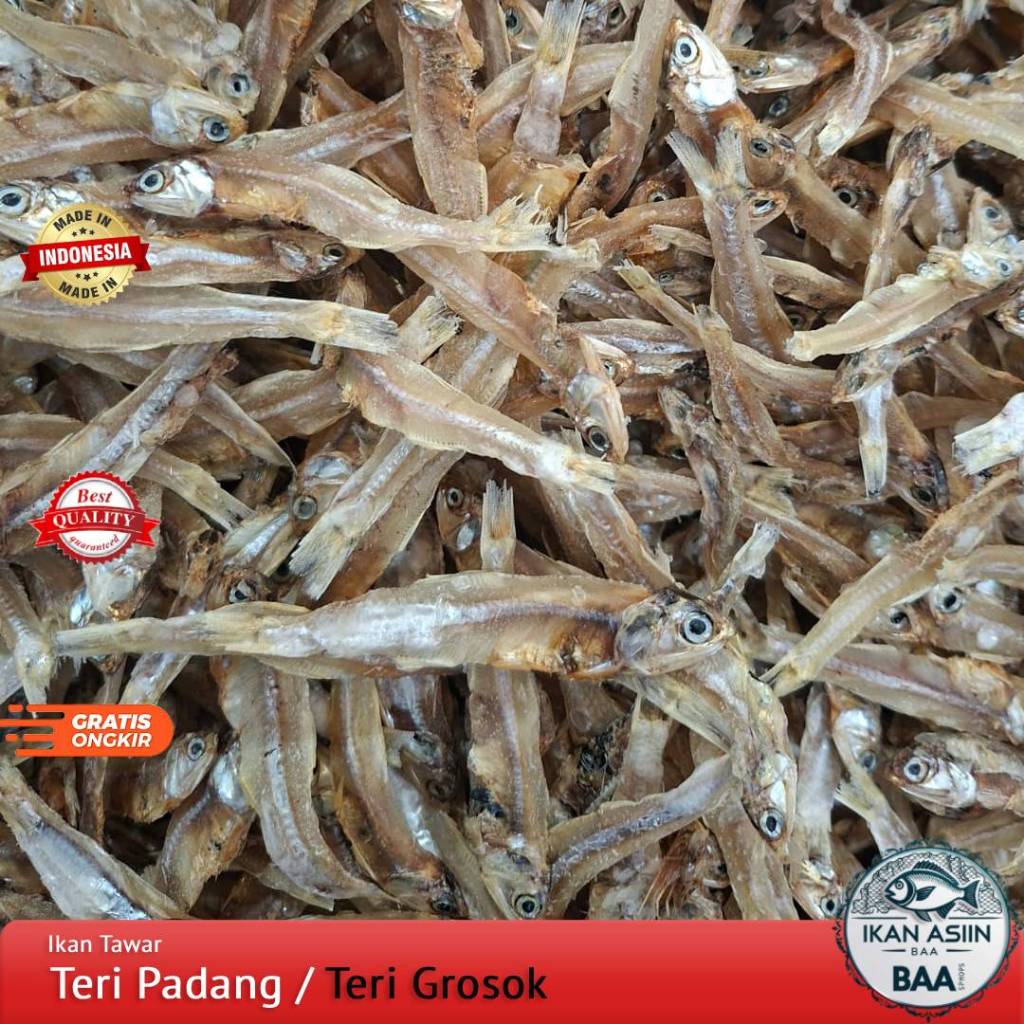 

Ikan Teri Tawar Padang / Teri Grosok Kualitas Premium 250gram, 500gram, 1kg