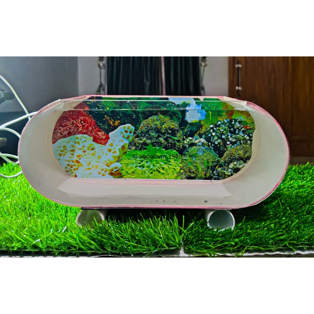 Aquarium minimalis Aquarium Mini