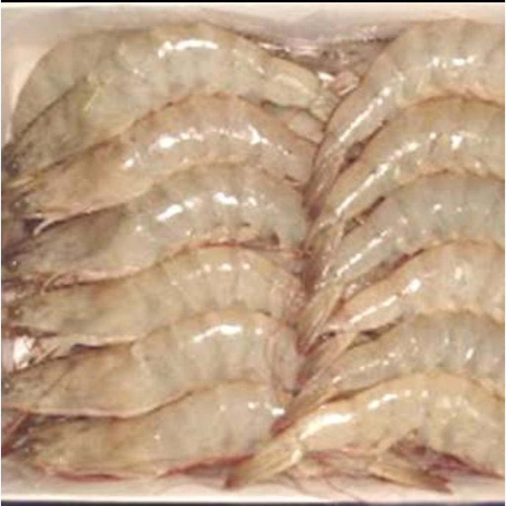

Udang White Vaname size 40 Good Quality