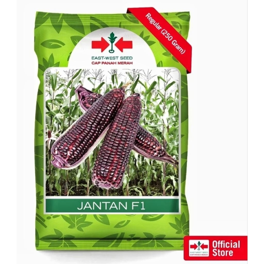 JANTAN F1 250 gram Benih Jagung Ketan Hibrida - Bibit Jagung Pulut Cap Panah Merah