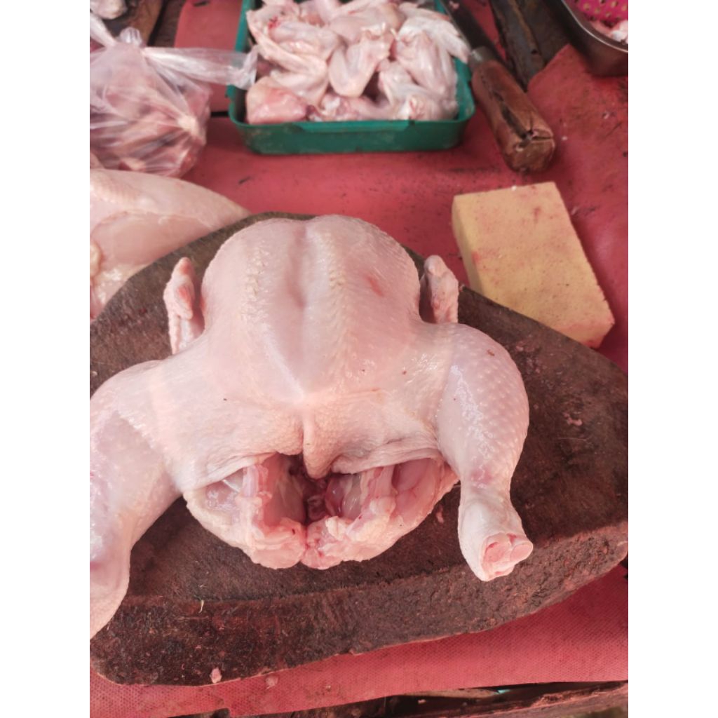 

ayam kampung asli berat 600-700