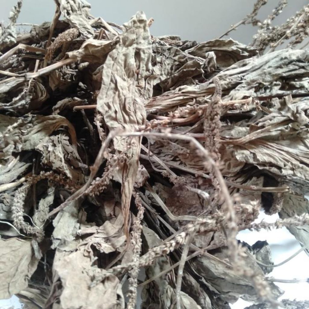 

Daun sendok kiurat kering 100 gram