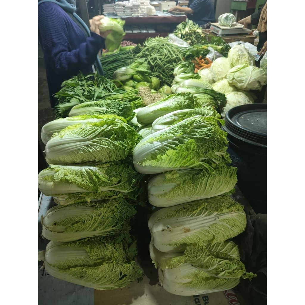 

Sawi putih segar 500gr