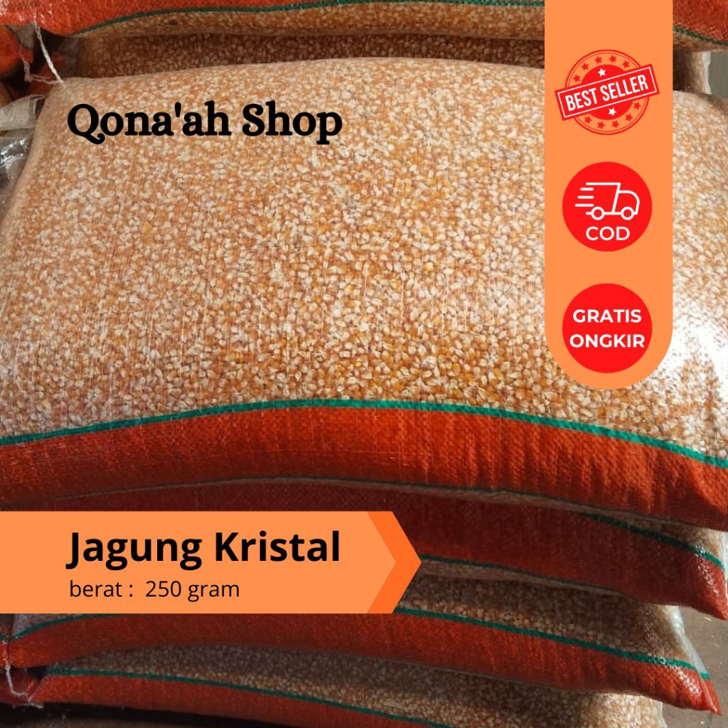 Jagung kristal kecil pakan merpati 500 gr / jagung kecil pakan burung / jagung kristal super kecil p