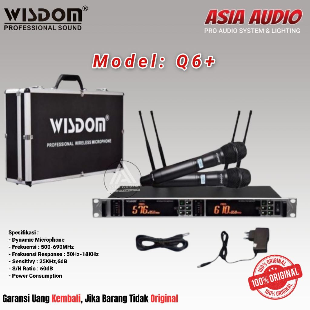 MIC WIRELESS WISDOM Q6+