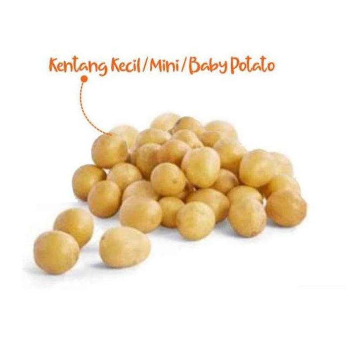 

Kentang Kecil / Baby Potato 500 gram / Pengiriman Kilat Surabaya