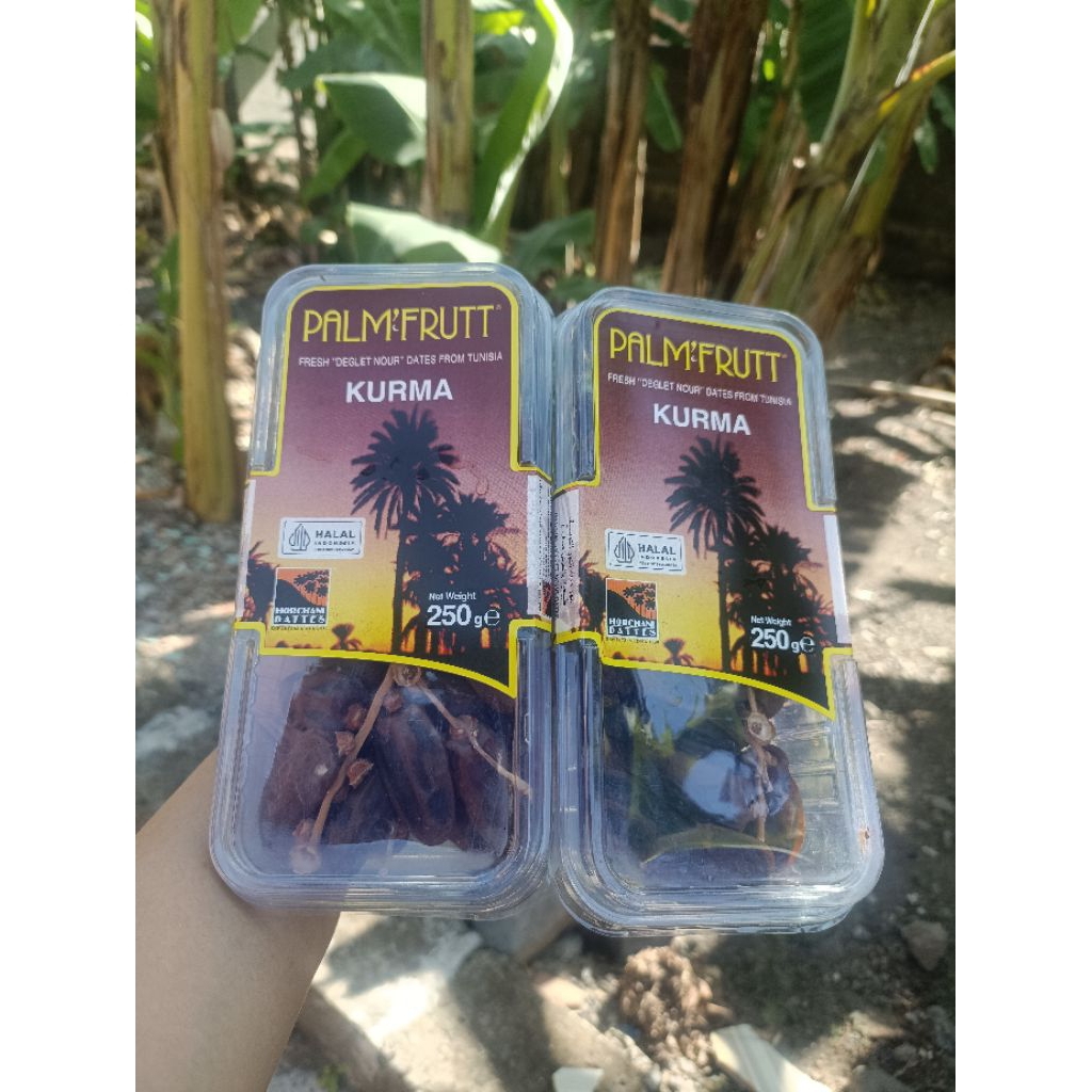 

KURMA TUNIS PALM FRUIT/KURMA PALM FRUIT ORIGINAL 250Gr