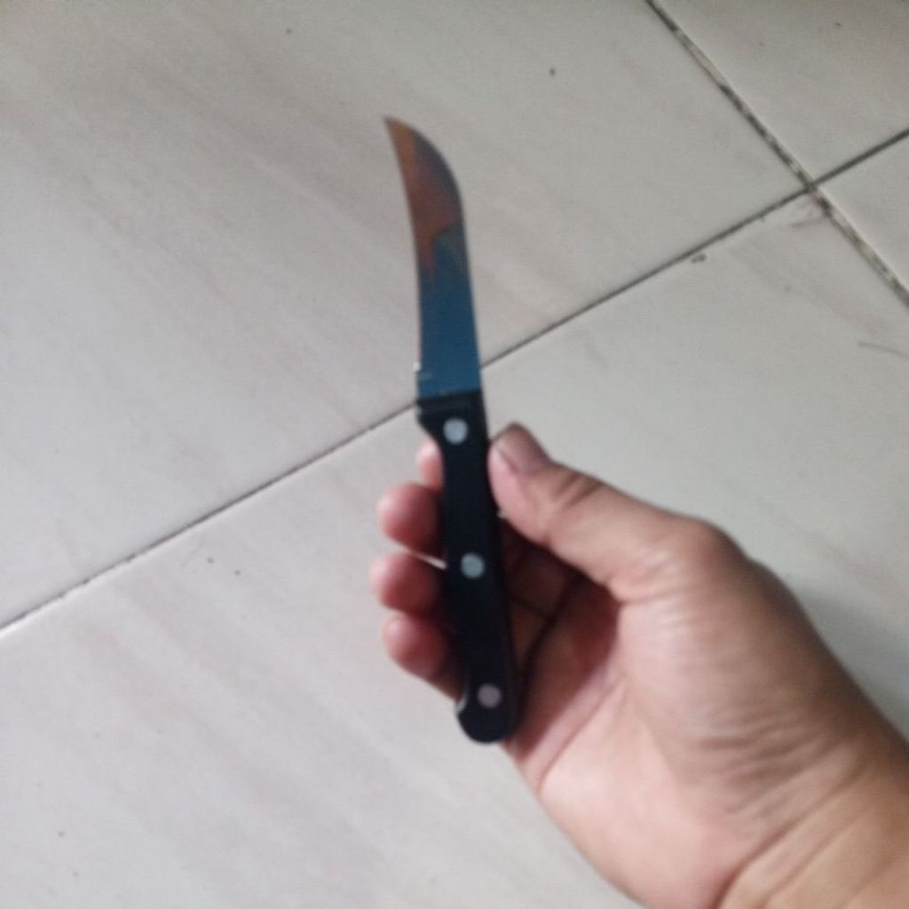 Pisau Stek Okulasi Tajam dan Kuat