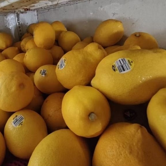 

LEMON IMPORT 500 GRAM-1 KG