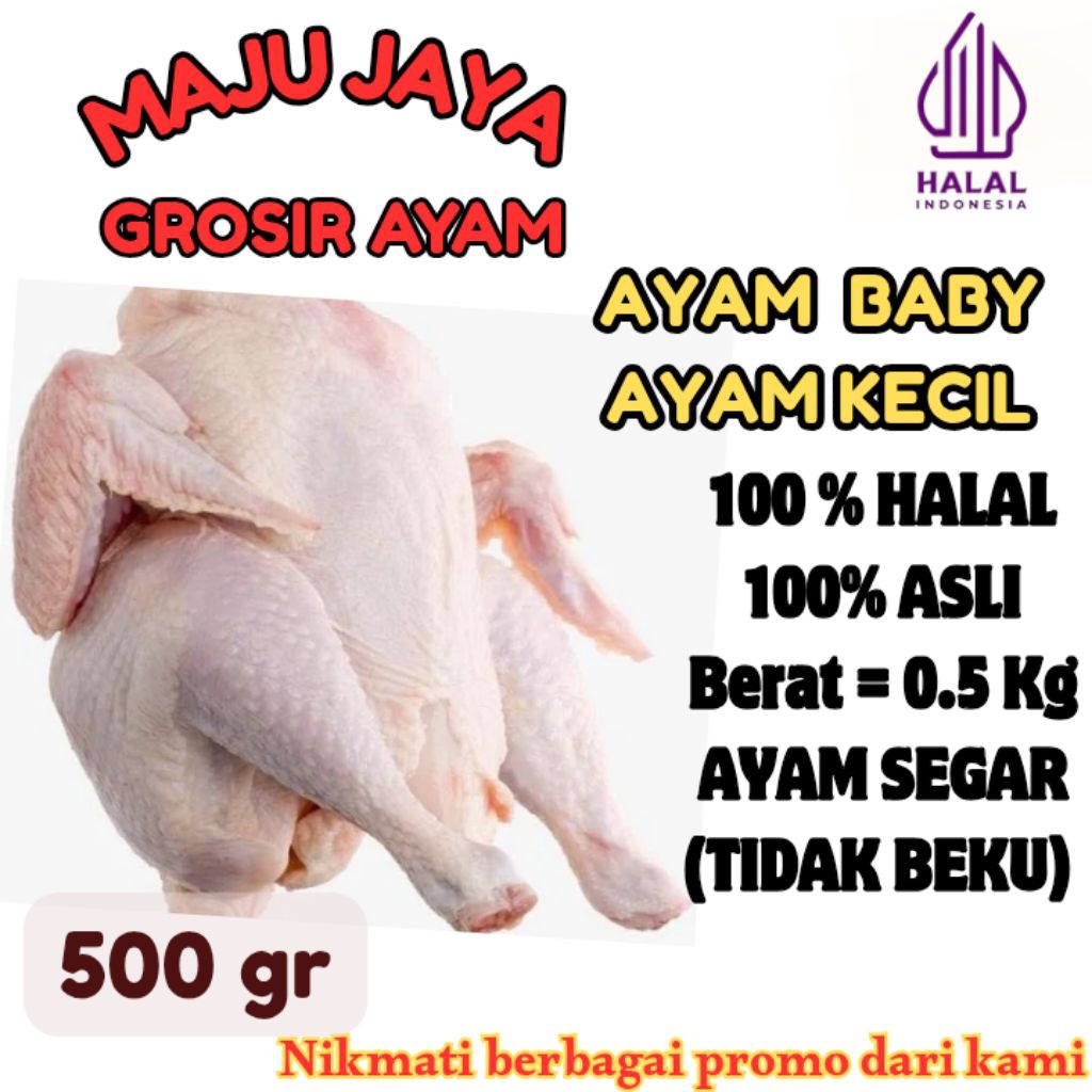 

AYAM UTUH 1 EKOR 0.5Kg (500gr) AYAM NEGRI /AYAM BROILER / SEGAR / BERSIH / AYAM BROILER / AYAM NEGRI / AYAM BERKUALITAS /FRESH BERSIH / TIDAK BEKU / HALAL / AMAN DIKONSUMSI