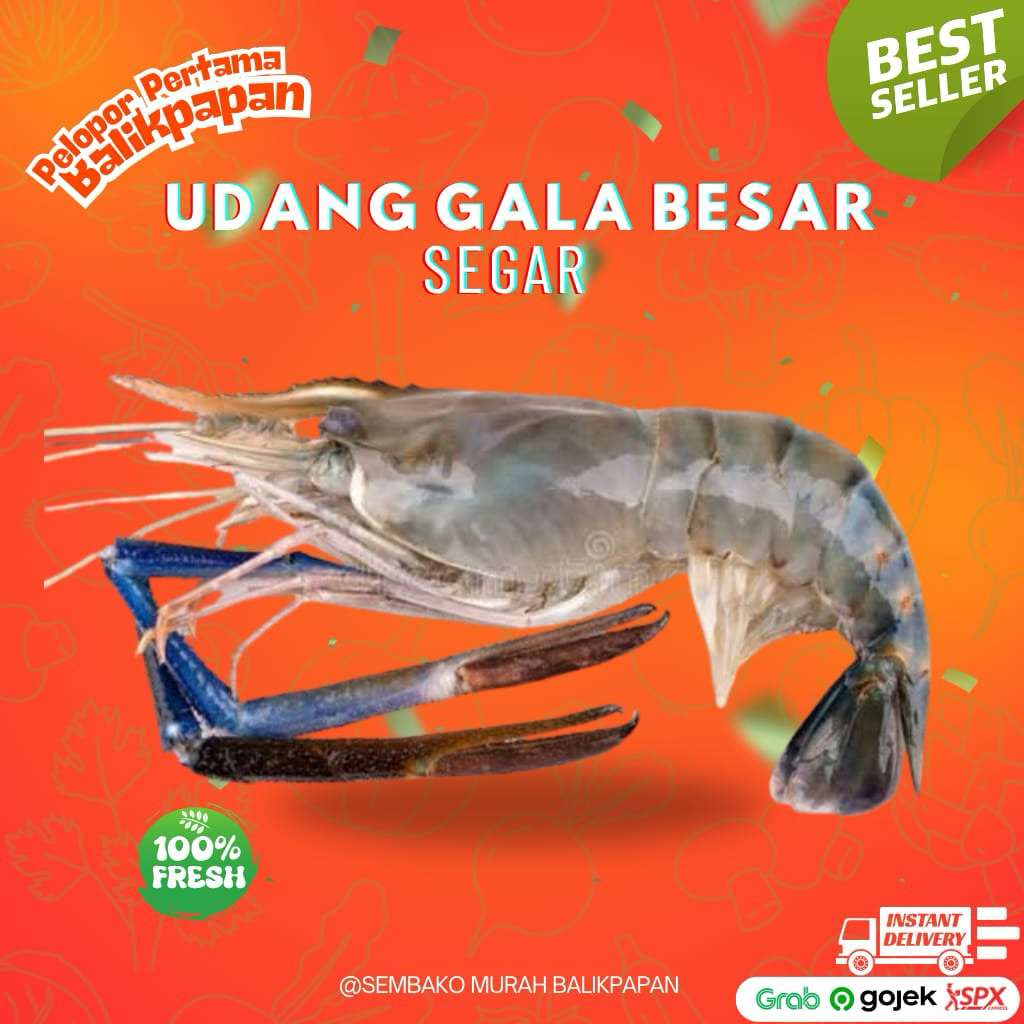 

udang gala besar - jumbo 1kg (hanya pagi)