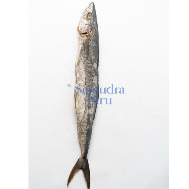 

Ikan Asin Tenggiri Beka Khas Medan Premium