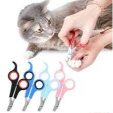 Gunting Kuku Kucing Anjing / Potong Kuku Kucing