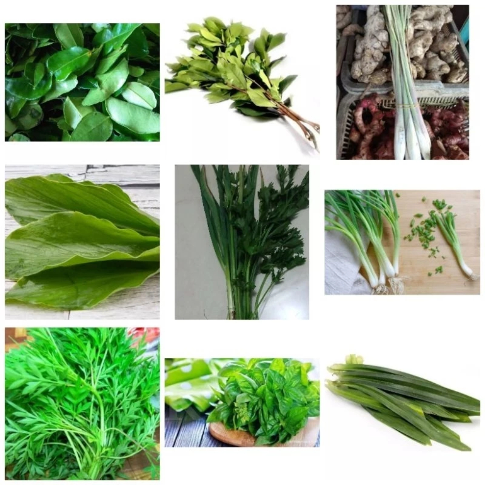 

Daun salam, jeruk, kemangi, daun serai, kunyit dll 3.000 (Live)