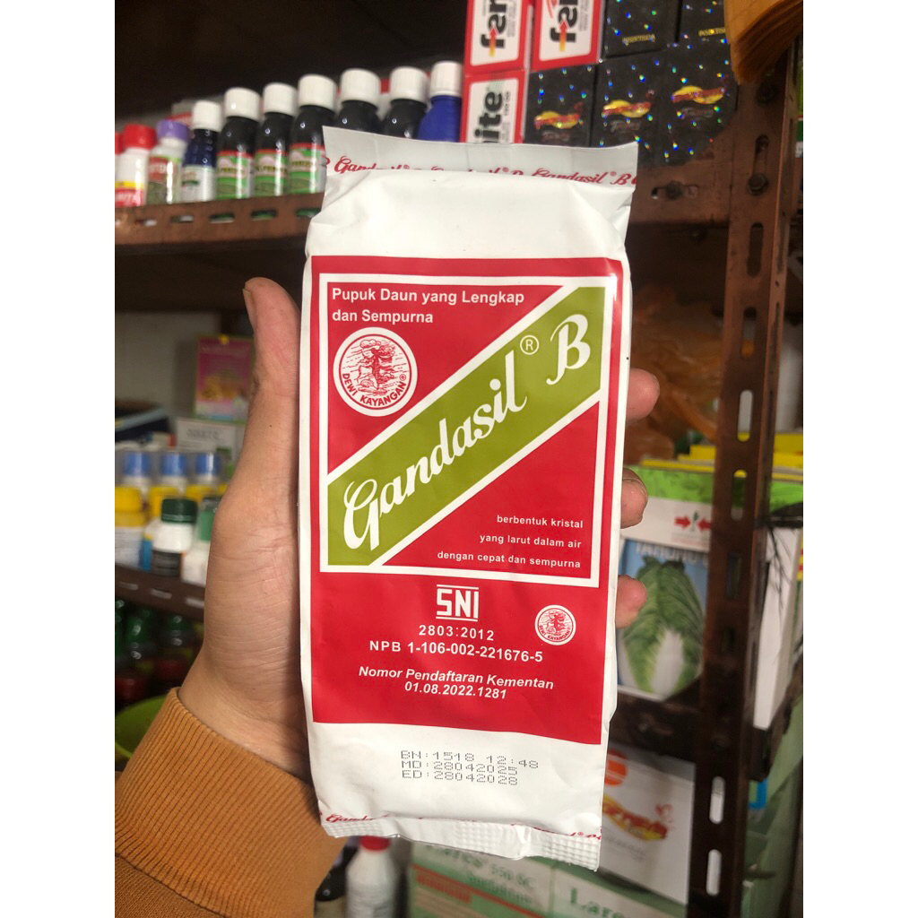 GANDASIL BUAH (GANDASIL MERAH) 500g