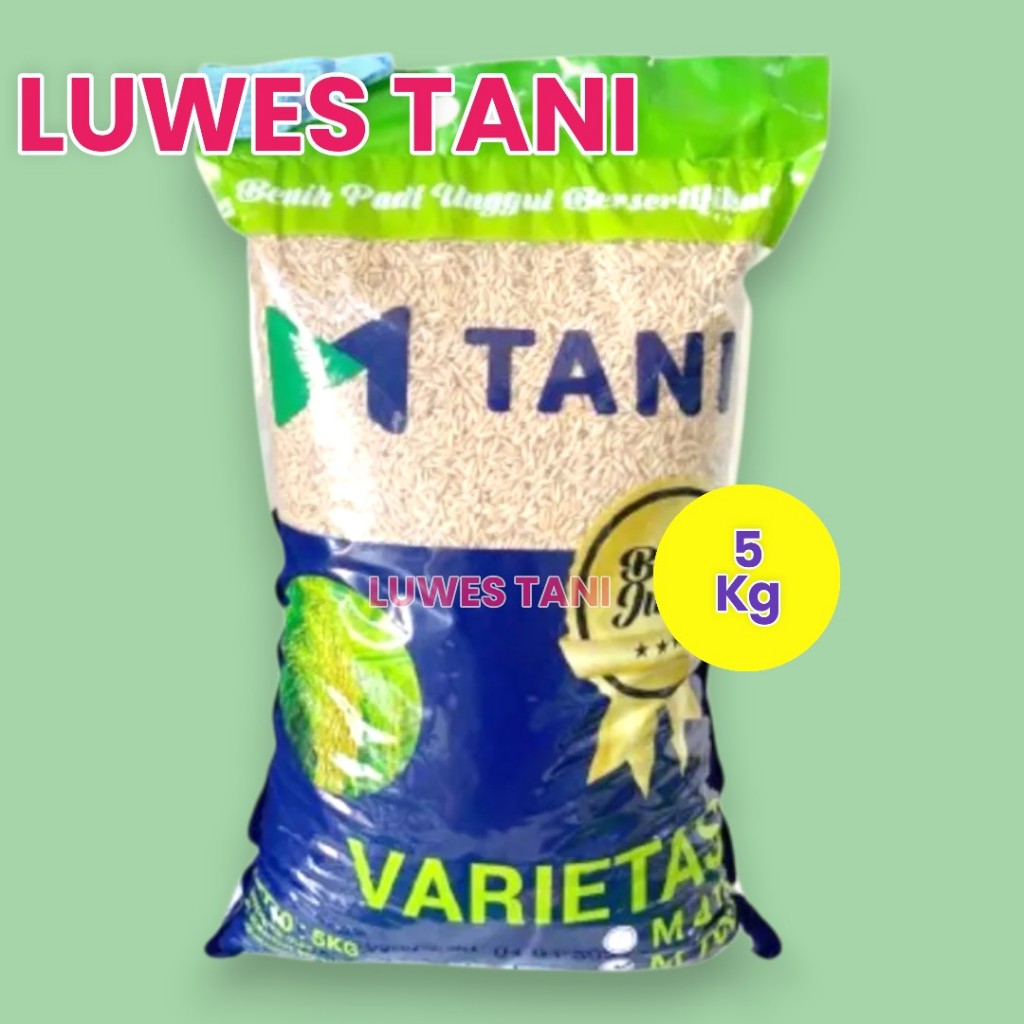 Benih padi M70D 5kg benih padi umur pendek atau genjah cepat panen