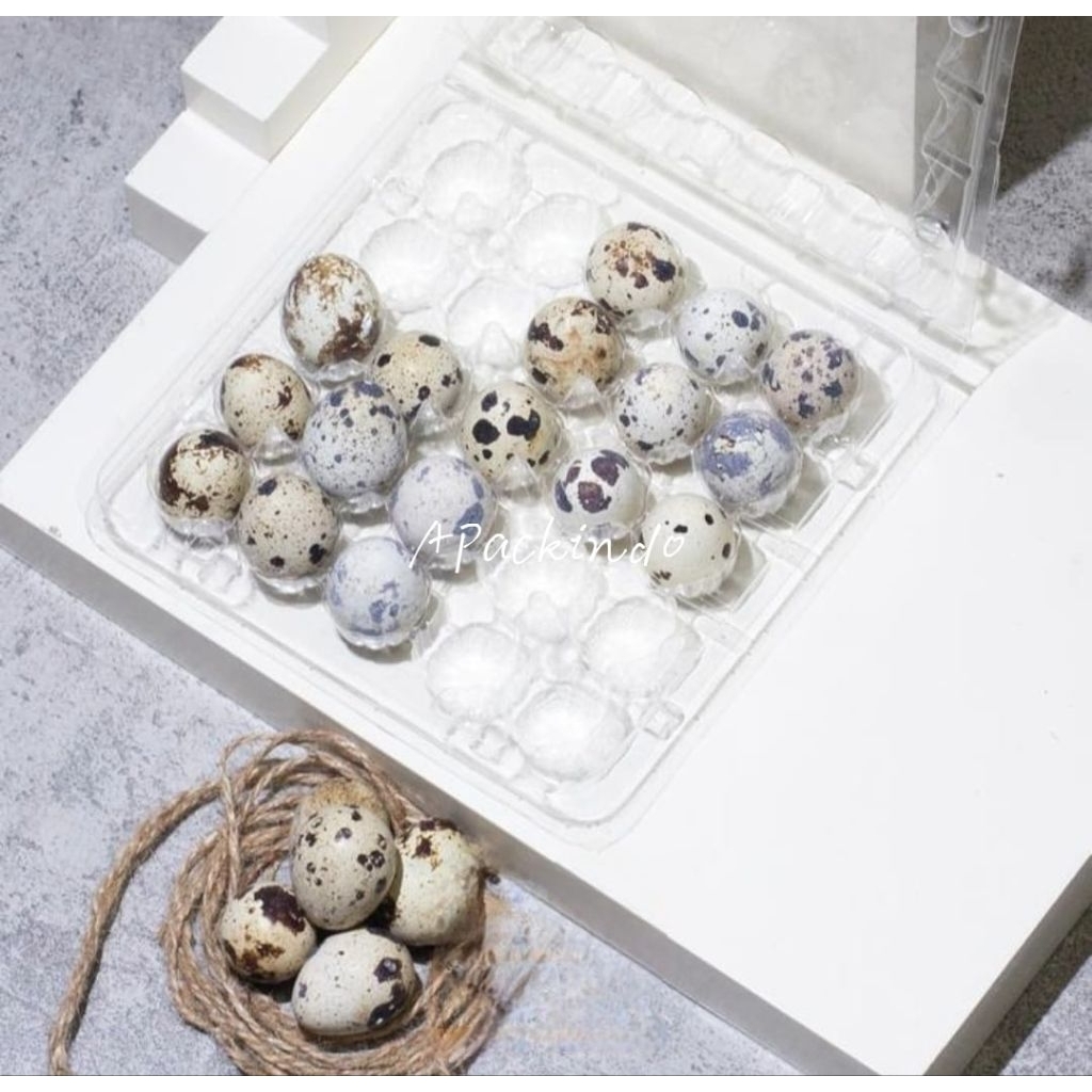 (isi 25 pcs)Mika telur puyuh 25 lubang tebal-0,35mm