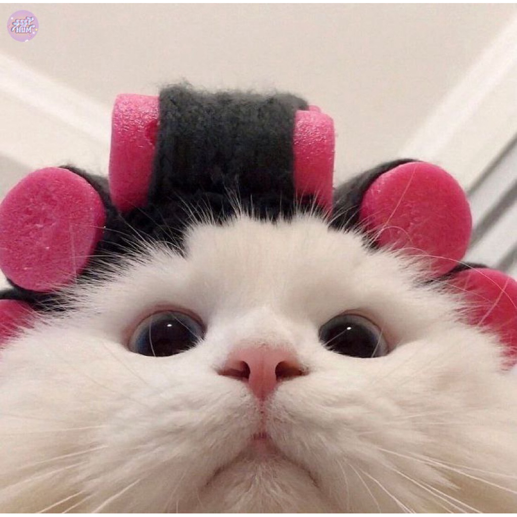 

LINK CO Packing only