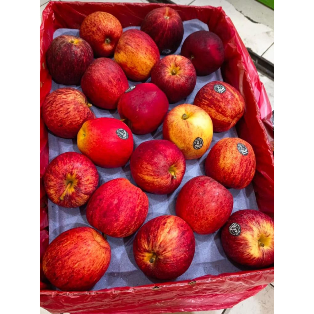 

apel gala netto 1000gr