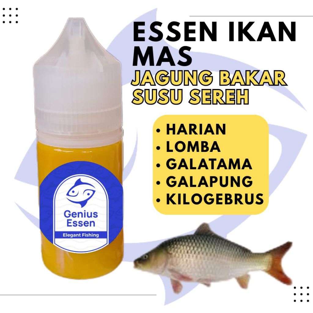 ESSEN IKAN MAS JAGUNG BAKAR SUSU SEREH essen ikan mas harian essen ikan mas lomba essen ikan mas gal