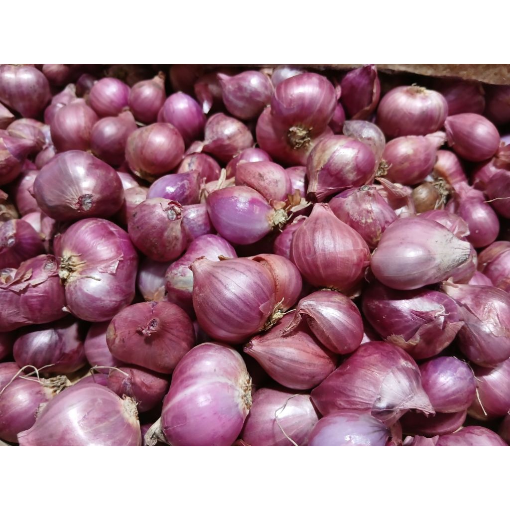 

Bawang merah termurah di kwalitas terbaik kemasan 1kg