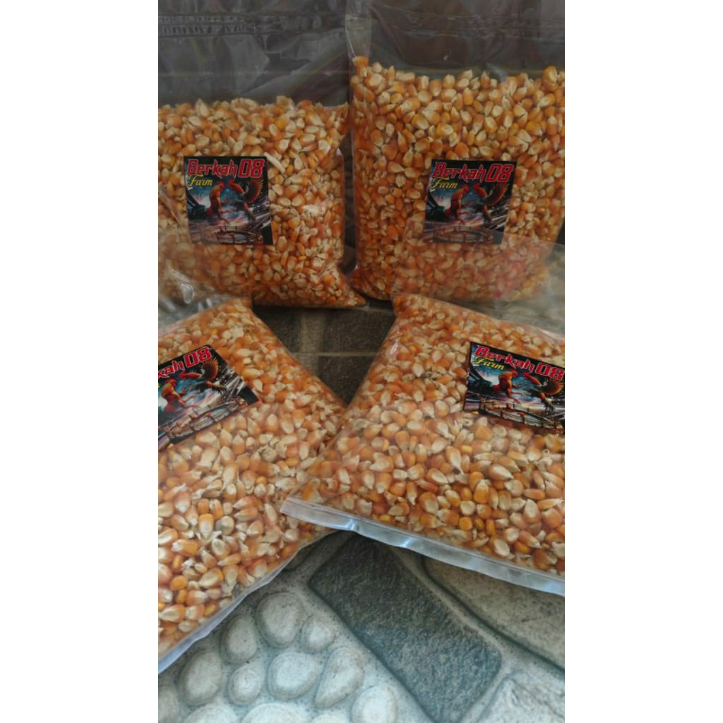 

Jagung hibrida super berkualitas 2kg