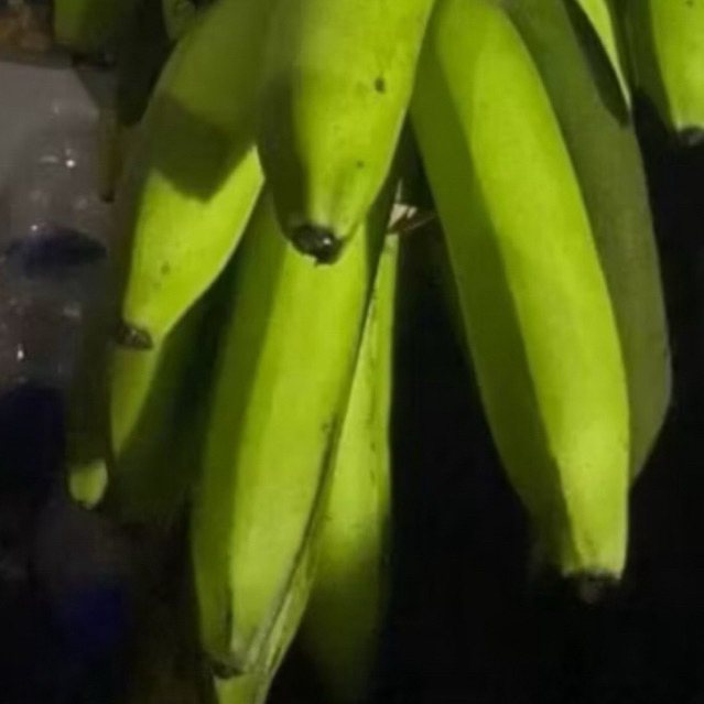 

Buah Pisang Mentah MD Prm Ecr Pisang Bangkaulu