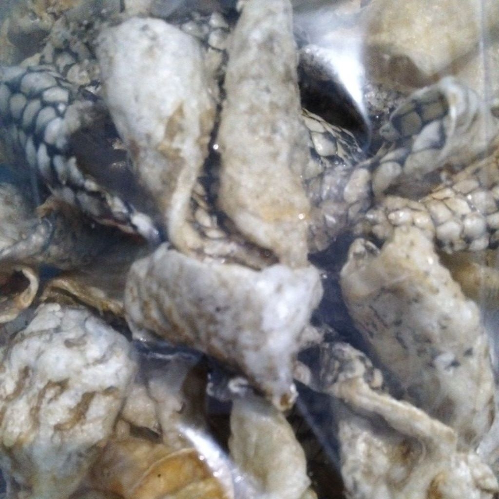 

Krupuk kulit ikan Kakap