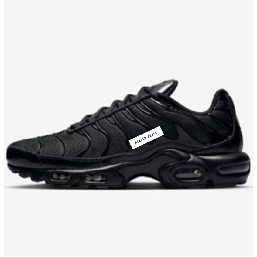 Nike Air Max Plus TN Black
