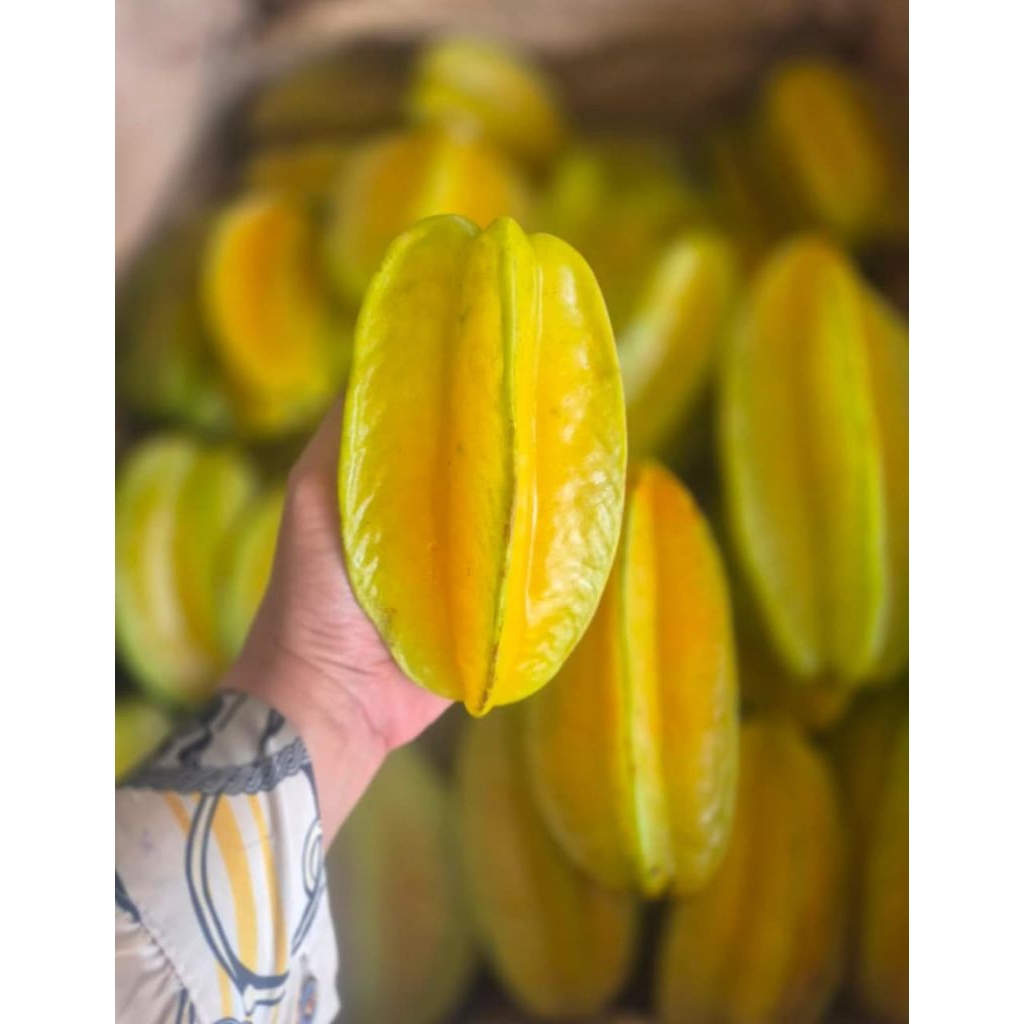 

blimbing netto 1000gr