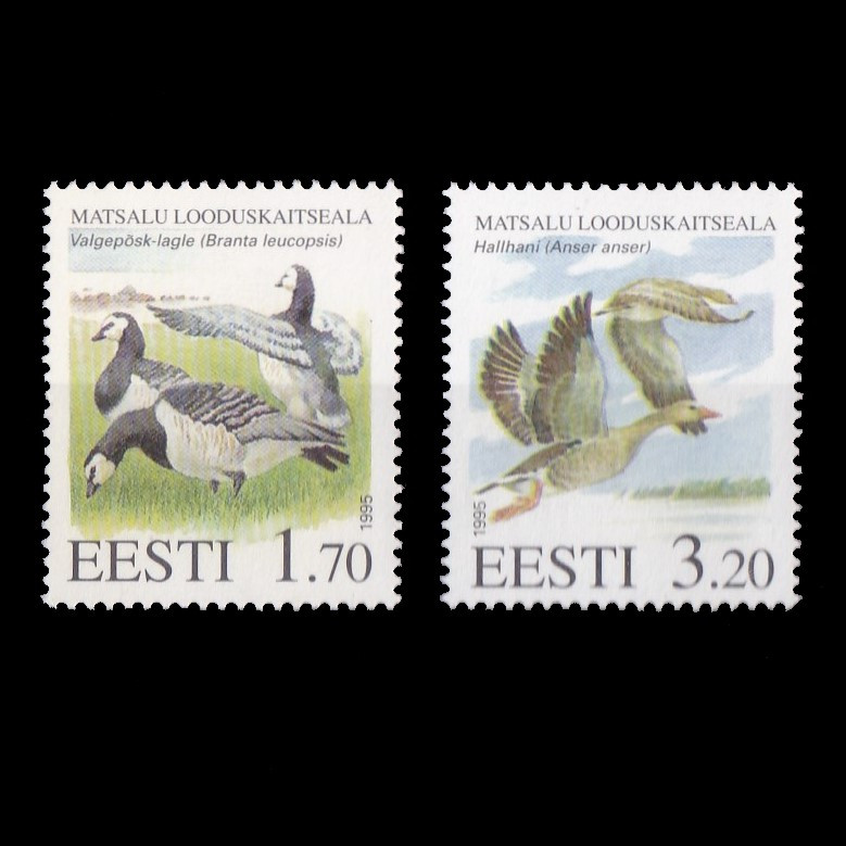 

P0001 Prangko Estonia 1995 Birds - Matsala Nature Reserve | Goose 2v Mnh