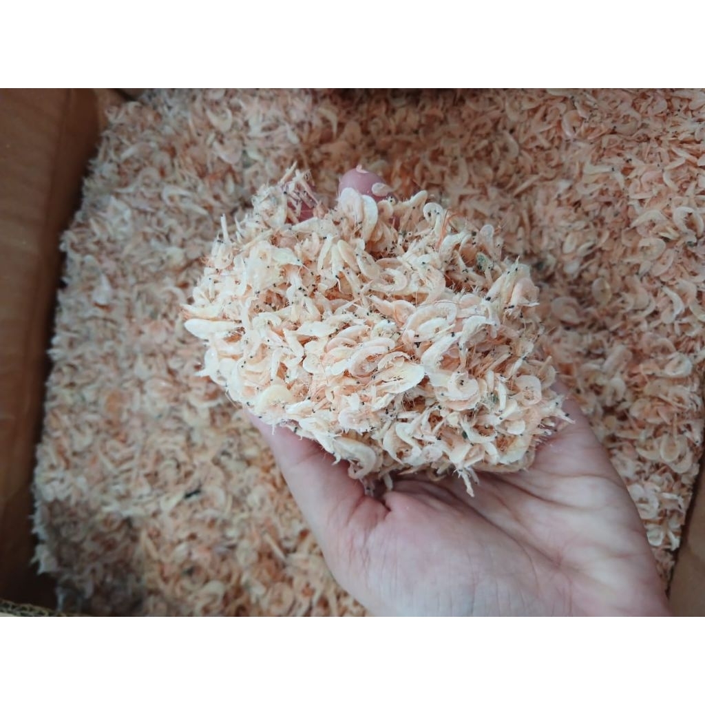 

UDANG REBON (TAWAR) KUALITAS SUPER/Udang Kasar,Bersih