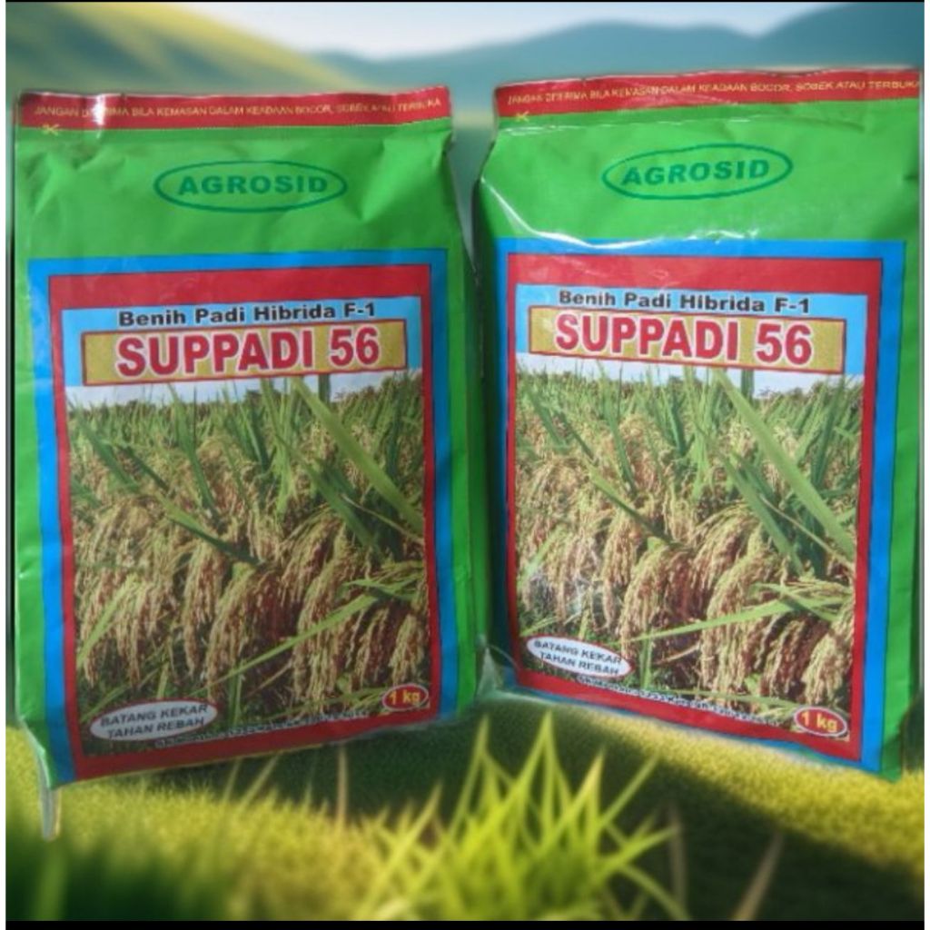 

PROMO Benih Padi Hibrida Suppadi 56 1Kg Dapat 2Pcs