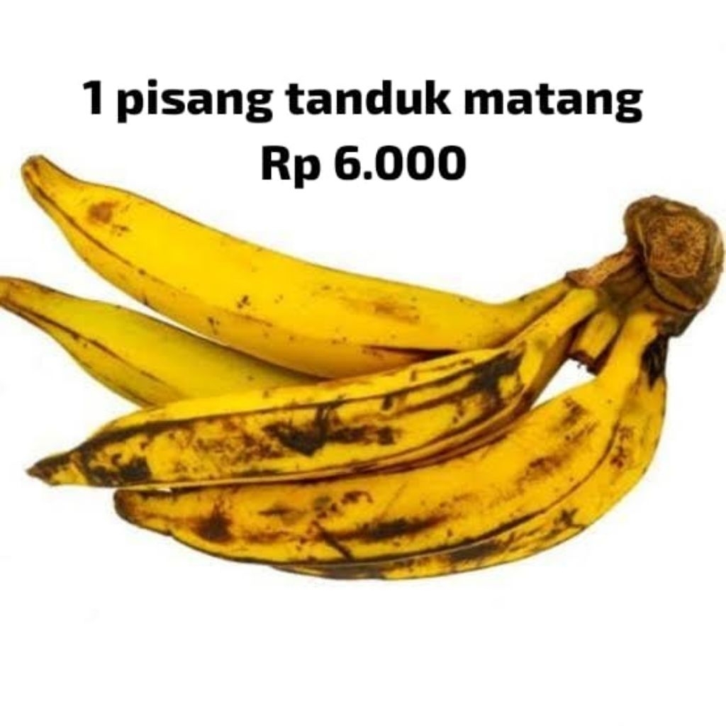 

Pisang Tanduk Pisang Byar 1 PCS
