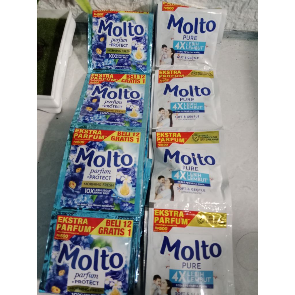 Molto Sachet 1 renteng 12 pcs