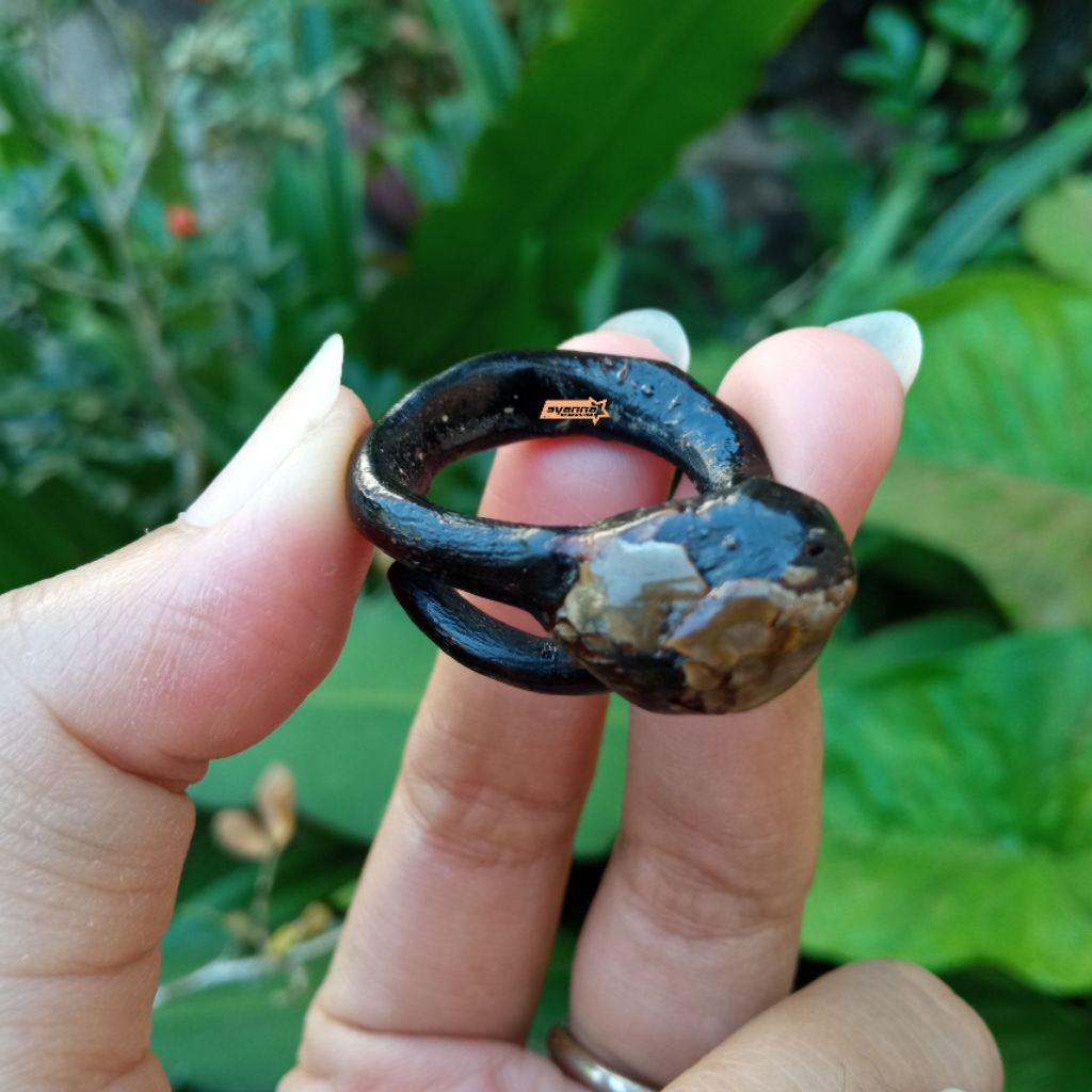 Cincin Akar Bahar Hitam Bonggol Unik