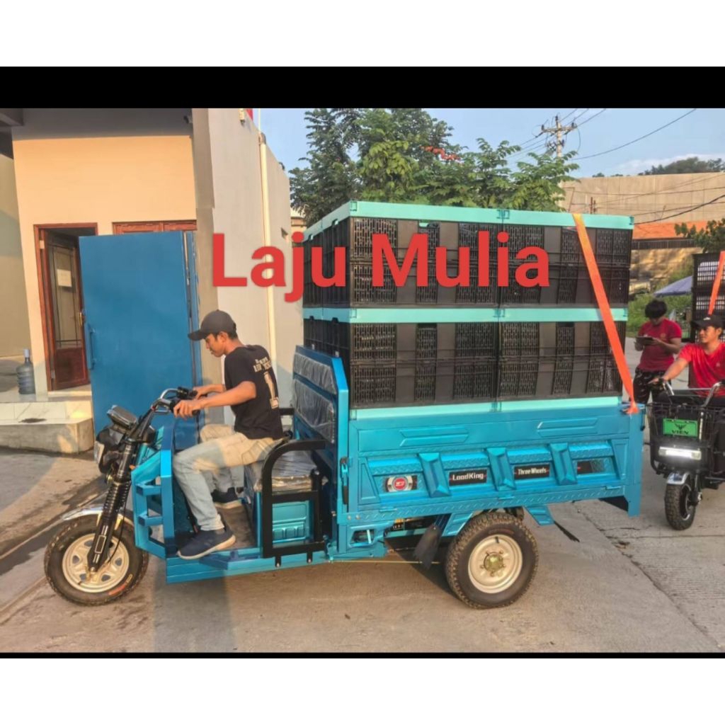 SEPEDA LISTRIK RODA 3