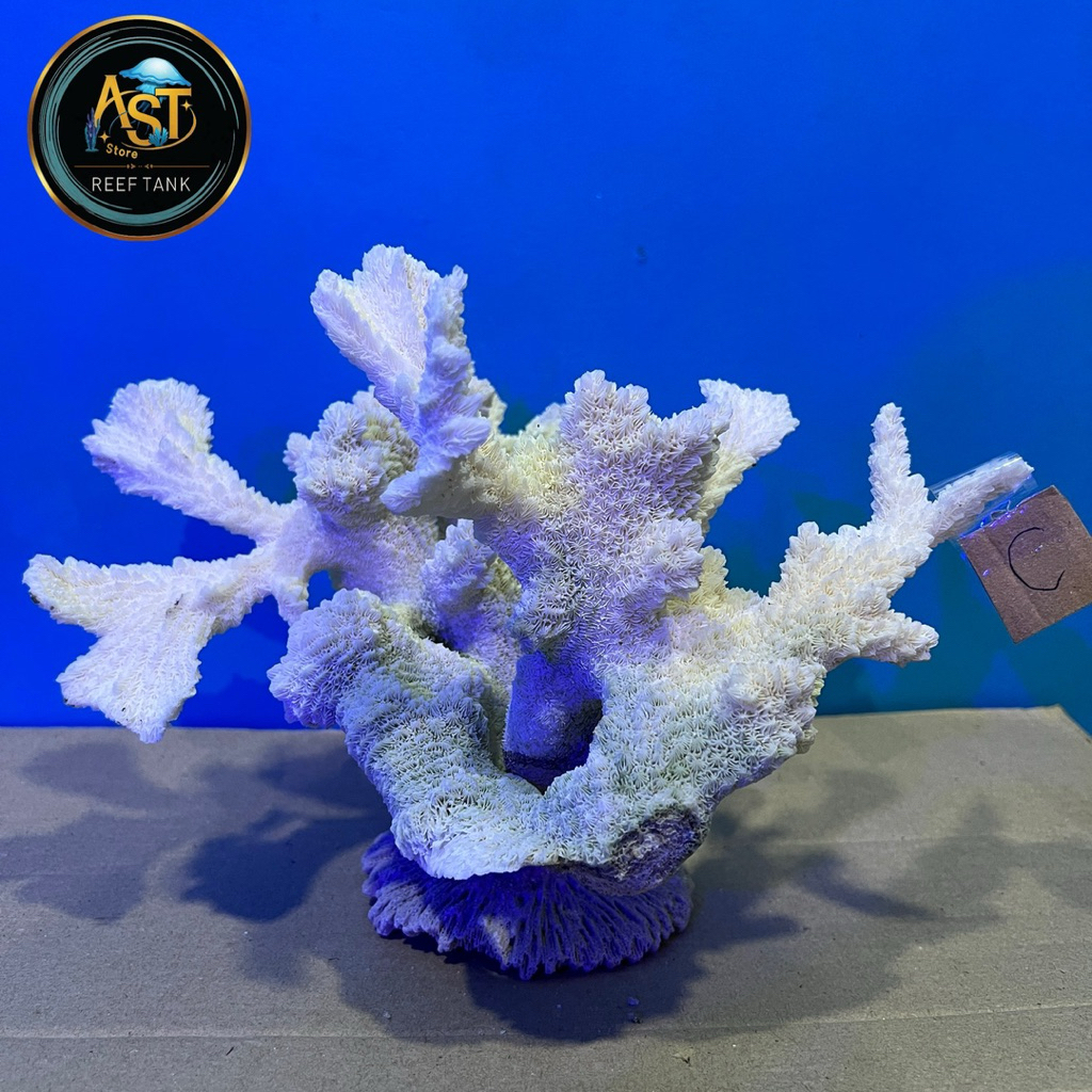 Deadrock | scaping deadrock | hiasan aquarium laut | aquarium air tawar | live rock | hiasan aquariu