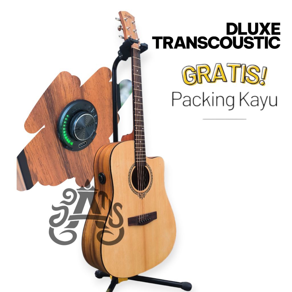 Gitar Dluxe Transkustik  DW110 Df110 DW110G DW100 Df100
