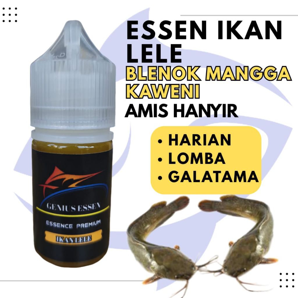 ESSEN IKAN LELE AROMA BLENOK MANGGA KAWENI essen ikan lele harian essen ikan lele lomba essen ikan l