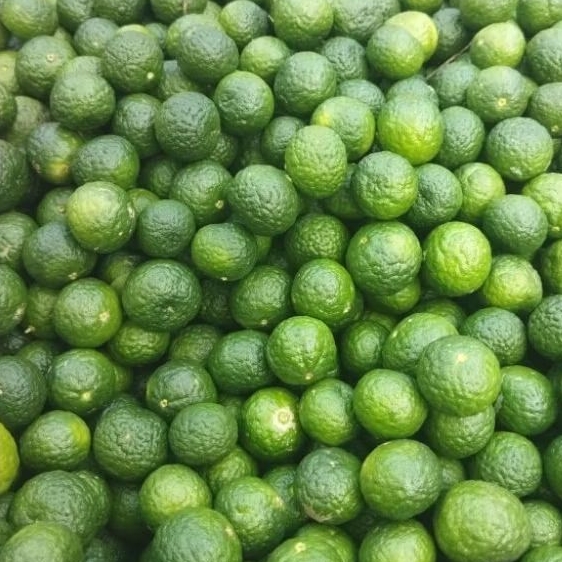 

Jeruk Limo/Limau/Sambal 1kg fresh dari kebun