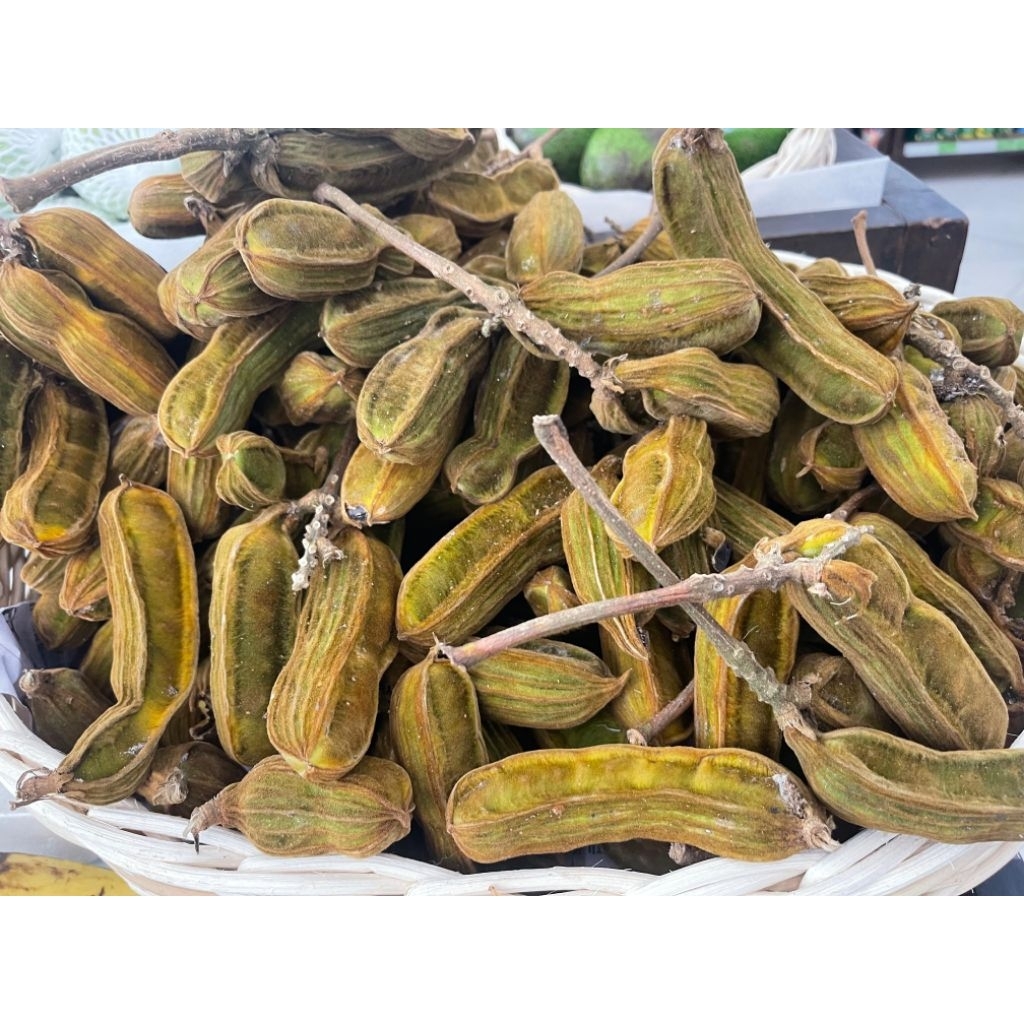 

Buah Salju | Buah Viral Salju | Buah Kapas 1 Kg